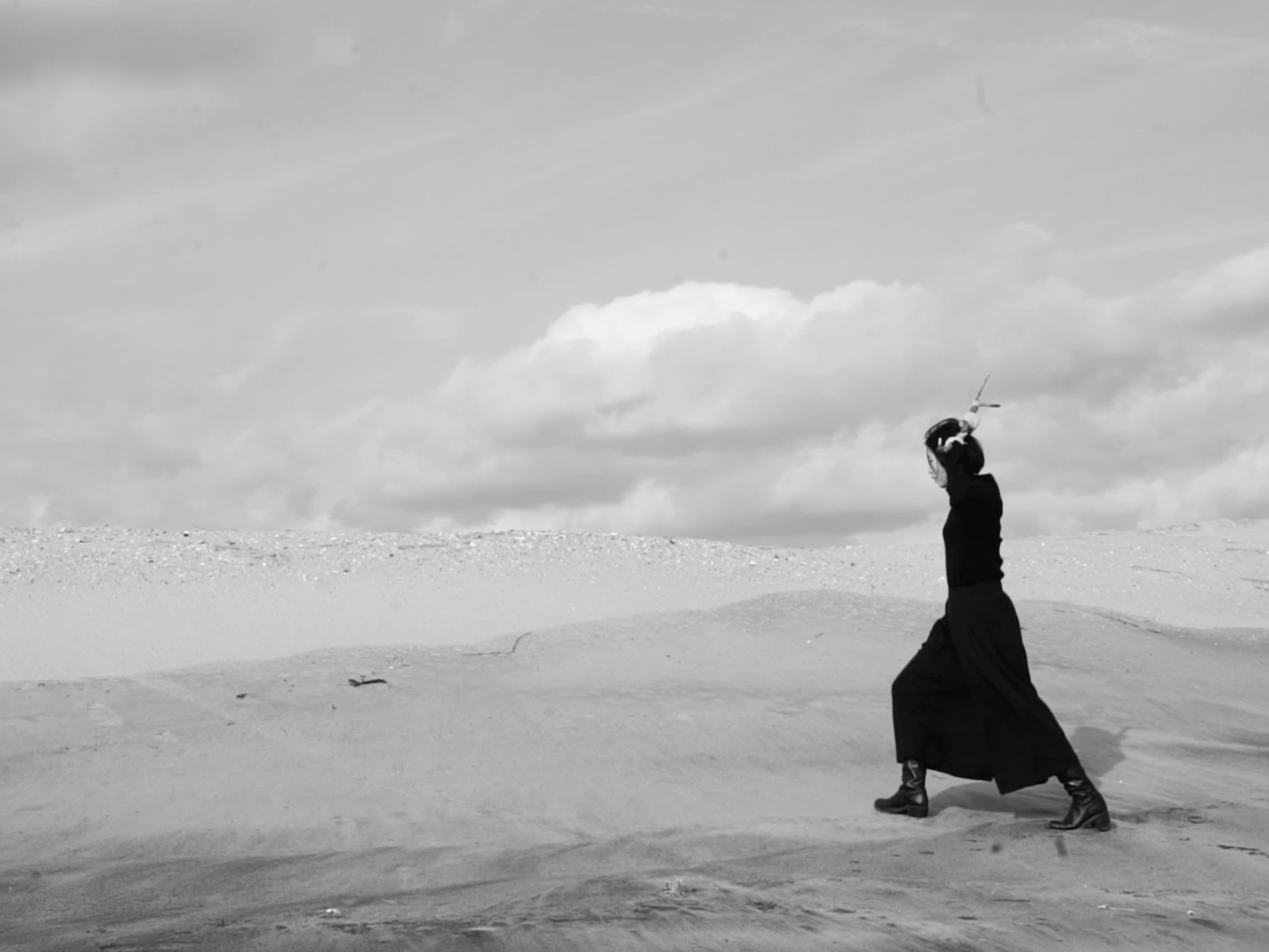 Song of a Lonely Bird, a Re-Creation