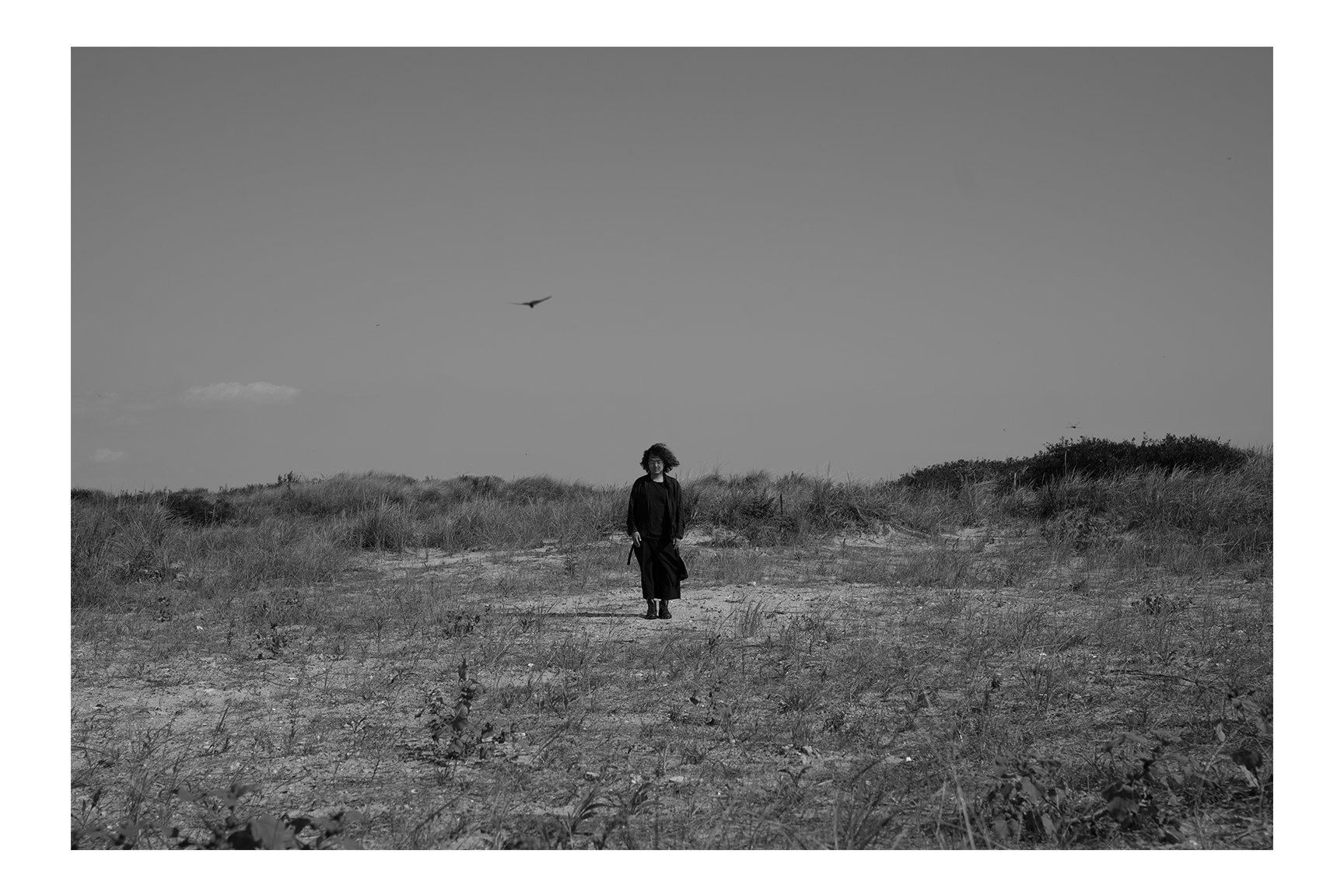 Song of a Lonely Bird 1