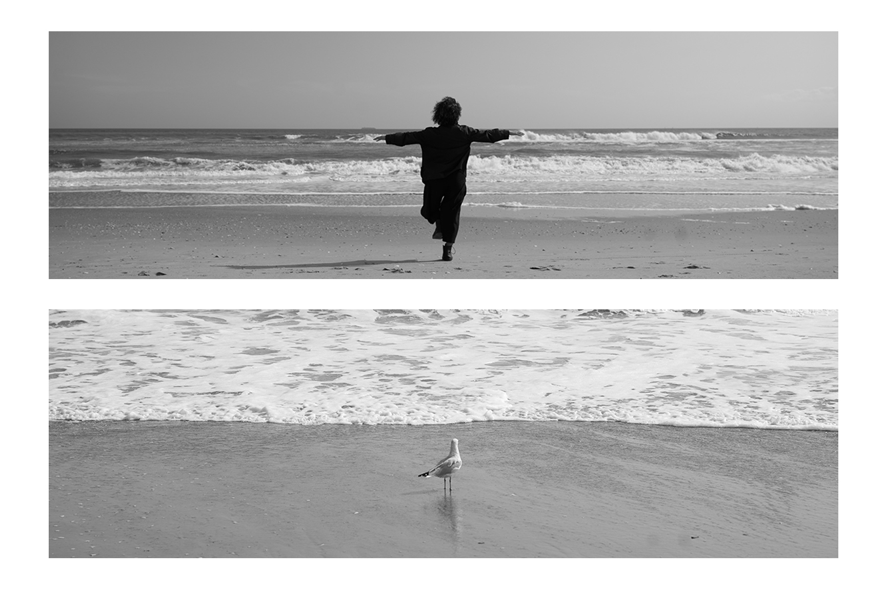Song of a Lonely Bird 4