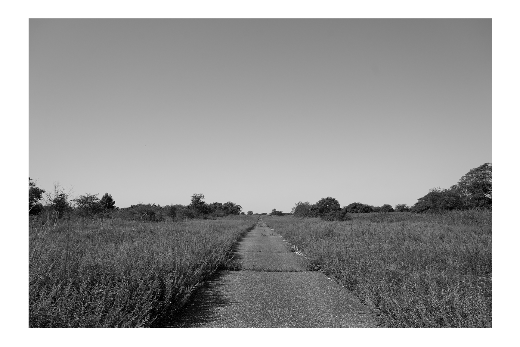 Song of a Lonely Bird 7
